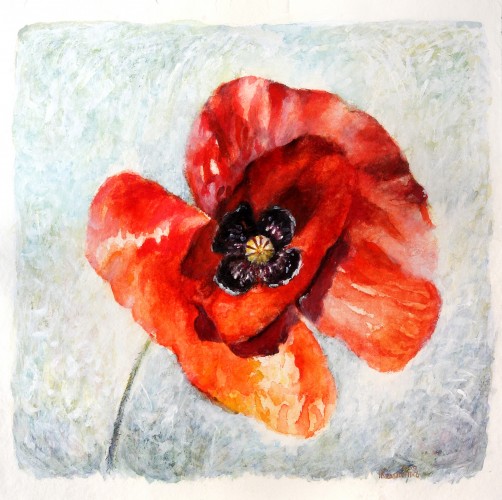 A poppy II, watercolor and acrylic on paper, 60x60 cm.